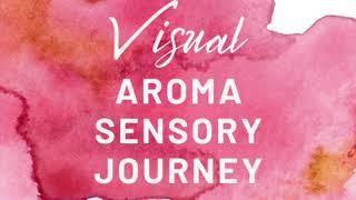 Low-Touch Moment of Wellness: Visual Aroma Sensory Journey (Aveda Variation)