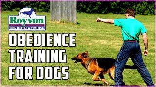 Royvon’s Obedience Training for Dogs