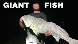 CATCHING BIG REDFISH at the BEACH!