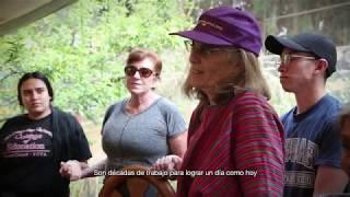 Volunteering in Mexico with Isla Urbana and Via