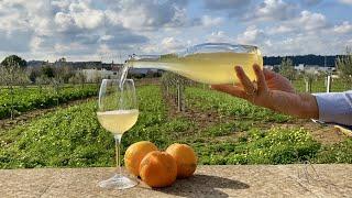 How to make ORANGE WINE at Home Homemade ORANGE WINE recipe  #orangewine