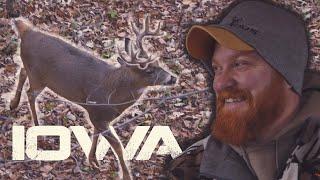 BUCKS EVERYWHERE!!  IOWA Bow kill with JOHNNY JENSEN