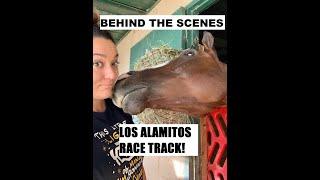 BEHIND THE SCENES LOS ALAMITOS RACE TRACK!