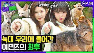 [SUB] 추리보다 해명이 시급한 보조탐정 민주 드디어 동물노..ㅇ.. 아니 동물탐정에 왔습니다! 오늘의 추리는?ㅣ예나는동물탐정 EP.16