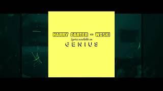 HARRY CARTER - WOSKI (LYRIC VIDEO)