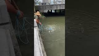 Most Satisfying Cast Net Fishing Video| Tik Tok Fishing Videos