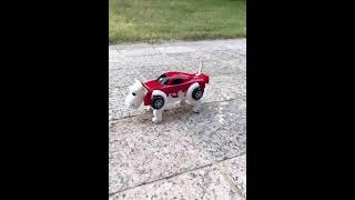 Convertible car into dog 2021 indoor toys & game for every home ️ | #shorts play master #toys