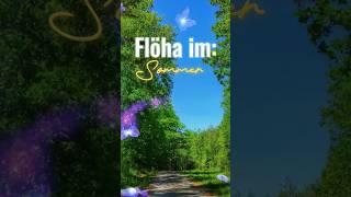 Flöha im Sommer 2023