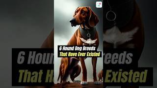 Unleash the Top 6 Hound Breeds!    #hounds #smartdog #monkoodog #dog #hounddogs #ai #aicreativity