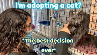 I ADOPTED A CAT (because i'm lonely)