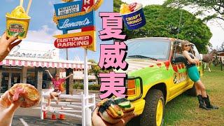 【夏威夷】Ep.2 夏威夷必買曬黑版公仔手信！侏羅紀公園的拍攝地 菠蘿園 必吃的午餐肉飯糰   | Hawaii 4K vlog