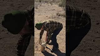 Chopping camp fire wood #shorts