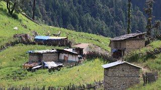 Simple Nepali Mountain Village Life||Naturally beautiful nepali Village ||@RURALLIFENEPAL | 2022