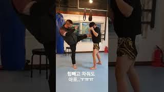 전 동양챔피언 무에타이 정석미들킥 맞아보기  #무에타이 #사시프라파 #태국 #동양챔피언  #KTK #두체급 #챔피언