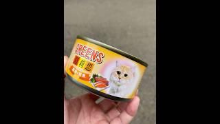 #貓罐頭 #貓糧 #罐頭 #catfood #catcare