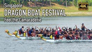 Dragon Boat Festival - Feel the Power, Feel the Camaraderie | Singapore