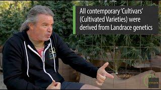 Kevin Jodrey: Landrace Cannabis Explained / Two-Minute Tutorial / Ganjier