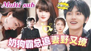 [MULTI SUB] 《奶狗霸总追妻野又撩》[新剧] 她被恶毒女灌下一碗汤，他们的孩子便这样没了，她苦苦求他原谅却只落得个被赶出家门的下场，离婚后遇到暗恋自己十年的学弟，温柔体贴疯狂追求！BCDJ