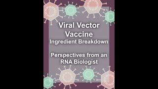 Does the Covid-19 Vaccine Contain Graphene Oxide?