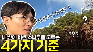 방치된 임야. 알고 보니 보물창고!? (논산 임야 컨설팅)