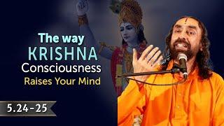 The Way Krishna Consciousness Raises Your MIND | Swami Mukundananda | God | BG 5.24-25