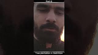 Best Trees for Village Qabristan  | Neem, Berry & More | Janoobi Punjab