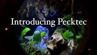 Introducing Pecktec