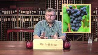 Beaujolais - with Rob Moshein for Wines.com TV