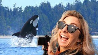 I saw KILLER Whales in Canada: Whale Watching Tour in Victoria BC with Prince of Whales