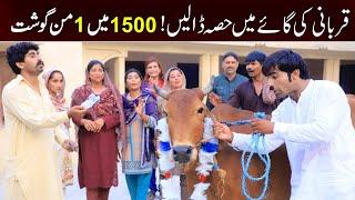 qurbani Bhootna,Shoki, Bilo Cheena & Sanam Mahi New Funny Video By Rachnavi Tv2