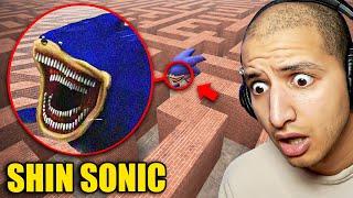 Stuck in a MAZE with SHIN SONIC...