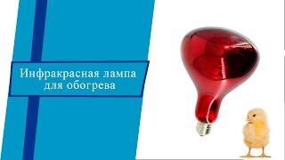 Лампы инфракрасные для обогрева. TEHNOMUR