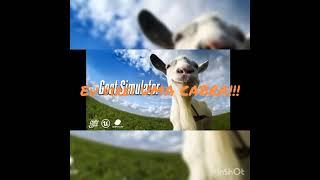 Simulador de Cabras... kkkkskasks #goatsimulator #jogosvelhos