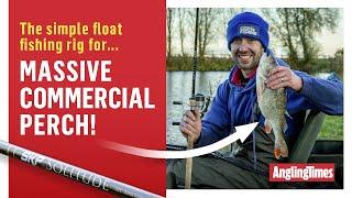 Float Fishing For BIG Commercial Perch - Try These Tips!