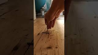 Do you relate to this renovation experience?? | How To DIY With Emma