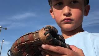 T-Ball & Birthday Presents! - Aidan’s Adventures with Autism #3