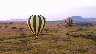 Wildlife and Natural Wonders Luxury Tour | TCS World Travel