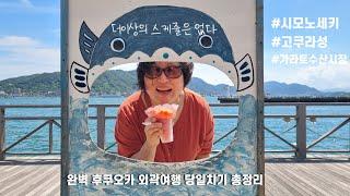 스케쥴  최다 But여유있고 재미있는하루여행/이 코스로 다시 여행가자