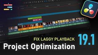 Project Optimization in DaVinci Resolve 19.1 - Fix LAGGY Playback