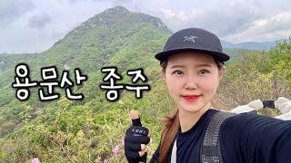 [Hiking] 경기 양평 용문산 등산 | 나홀로 경기 남동부의 제왕 용문산에서 싱그러운 야생화 보며 5봉우리 종주산행  | 용문산자연휴양림 코스 | 산림청 100대명산