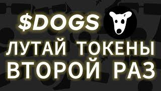 СРОЧНО! DOGS РАЗДАЁТ ТОКЕНЫ ВТОРОЙ РАЗ! ПУЛ КОЙНОВ ДОГС ДРОП НА БИРЖУ AIRDROP, ЧТО ДЕЛАТЬ ДОГС