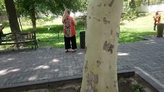 ENGLISH PARK, YEREVAN, ARMENIA  Vedio - 2(ԱՆԳԼԻԱԿԱՆ ՊԱՐԿ, ԵՐԵՎԱՆ, ՀԱՅԱՍՏԱՆ  Տեսանյութ -2)