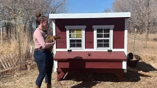 Quack N Cluck's First OverEZ Chicken Coop! | OverEZ Chicken Coop