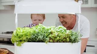 Kitchen Garden NZ