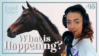 Something Strange Happened with Zoë | EquiTheory #95