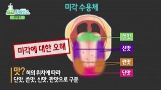 [이지사이언스] 맛에 숨은 과학 / YTN 사이언스