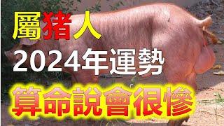 聽說屬豬人2024年會很慘？其實根據生肖學來說，生肖豬逢龍年運勢會旺上加旺，命運如同天空中的雲朵，變幻莫測，生肖豬逢龍年常常被賦予特殊的意義，象徵著運勢大放異彩。屬豬人2024年可能會遭遇困境。