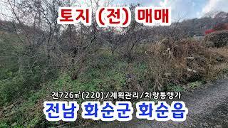 전남 화순군 화순읍 주도리 전726㎡(220) 진입로접 차량통행가 매매3천9백