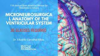 Microneurosurgical Anatomy of the Ventricular System - Eduardo Carvalhal Ribas, MD