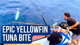 Fishing for Yellowfin Tuna? Here's What You Need to Know!